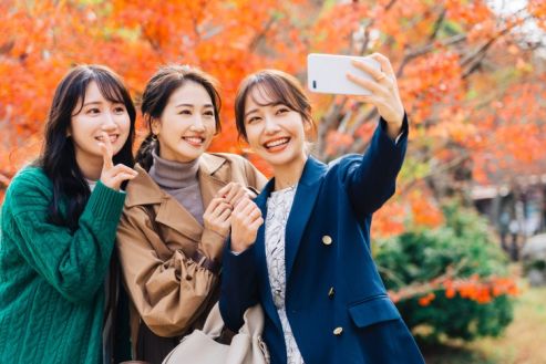 【紹介】紅葉シーズンの乗車チケット販売