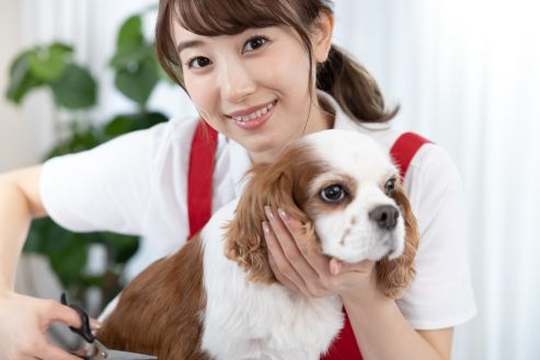 【紹介】ホテルのドッグスタッフ