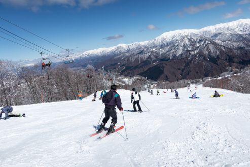 【紹介】スキー場でのパトロールスタッフ